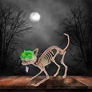 Halloween skeleton kitty cat that howls and has green eyes that light-up